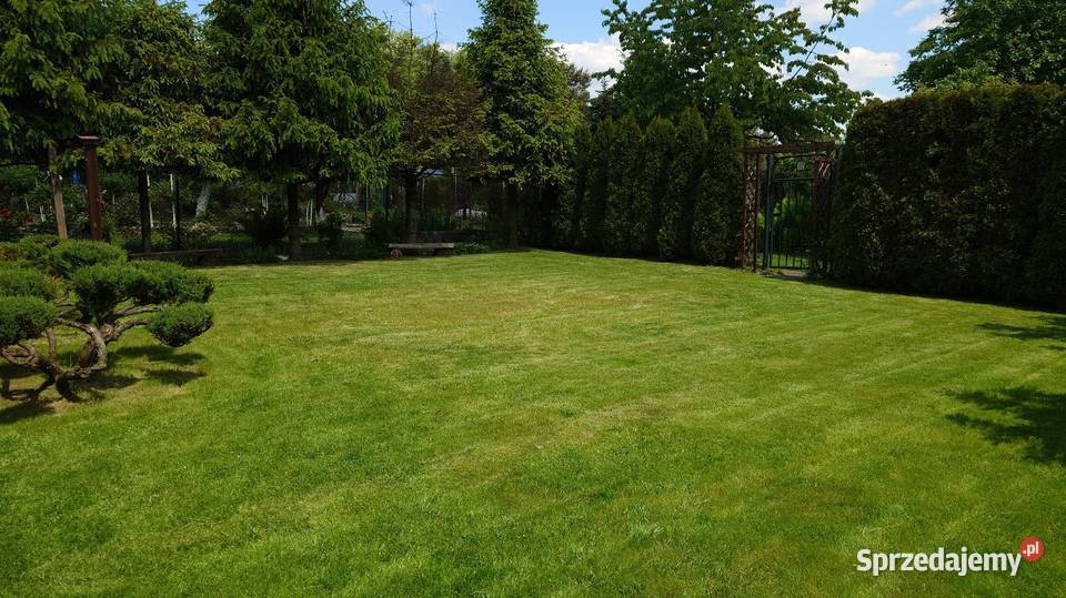 ROD Ogródek Działkowy 300m2 Chorzów