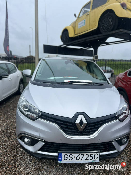 Renault Scenic Renault Scenic 2018 15 DCI 110 światła przeciwmgielne