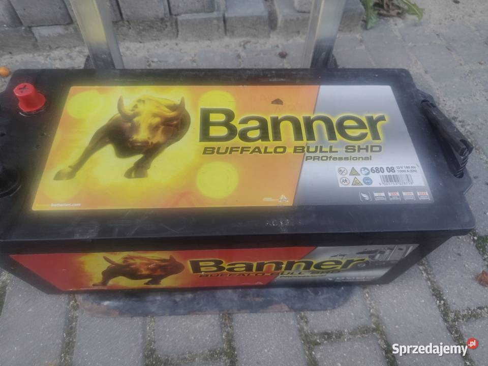 Akumulator Banner Buffalo Bull SHD 180Ah 1000A Swarzędz