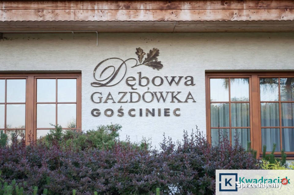 Lokal Łodyna 10000m2 10000m2