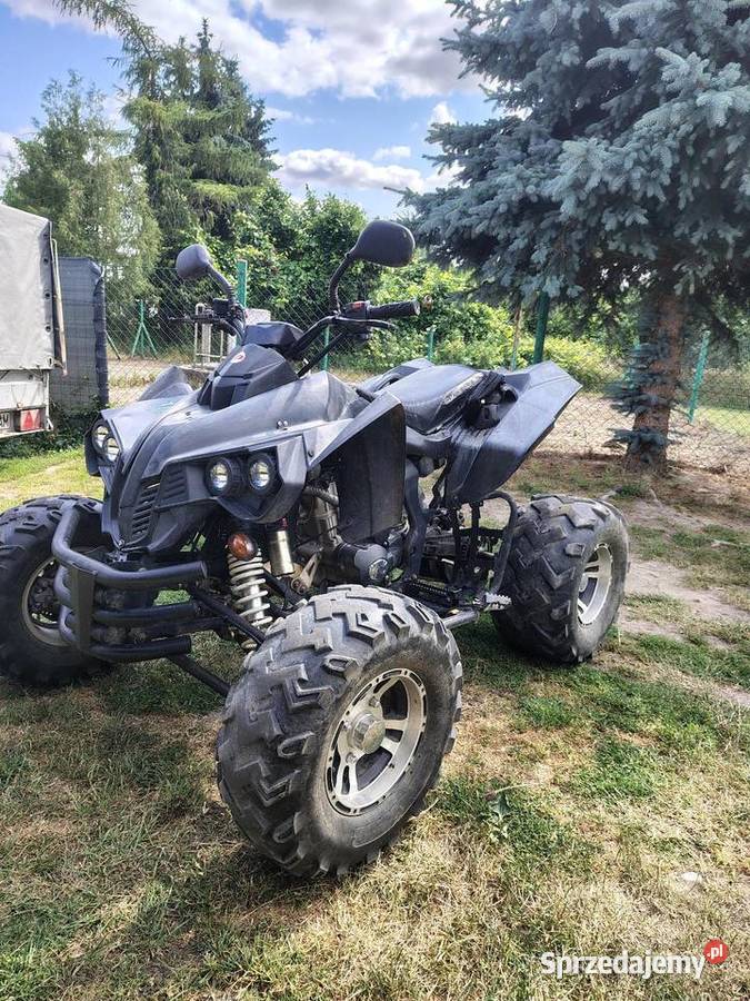 Quad EGL 250 Zarejestrowany Sprawny 2013 quad - ATV Choszczno