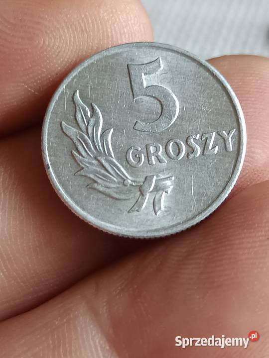 Sprzedam groszy 1949 vvv Numizmatyka Chełm sprzedam
