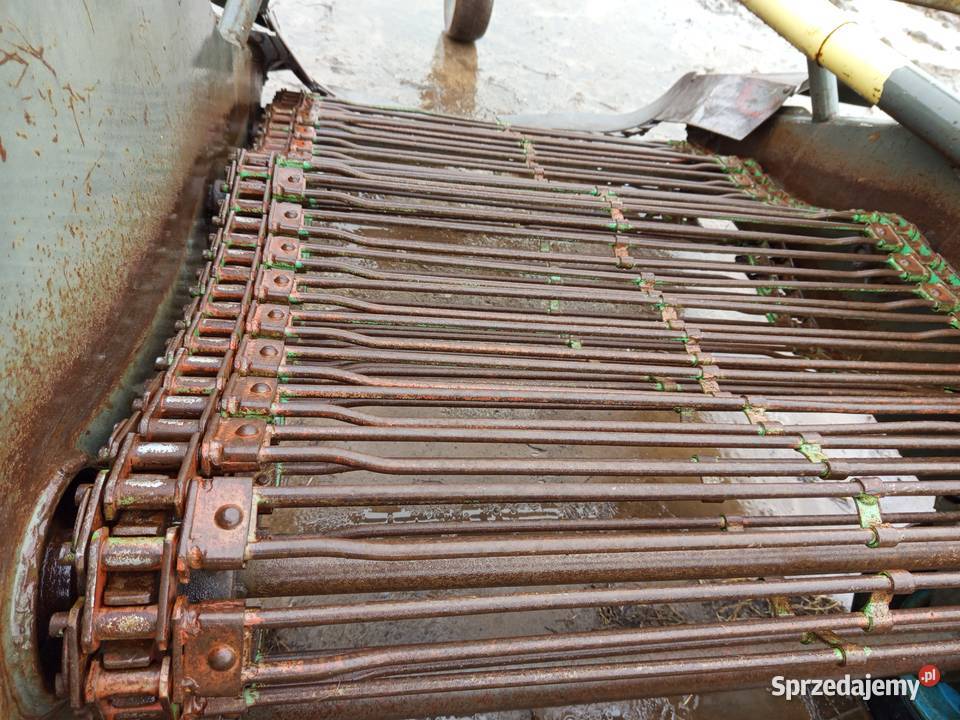 Kopaczka elewatorowa do ziemniaków łódzkie Szynkielów sprzedam