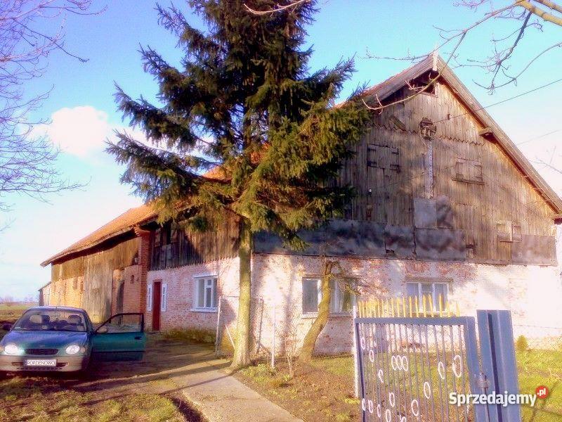 siedlisko 12 ha DOM na Żuławach 120 m2 parterowy pomorskie Pordenowo