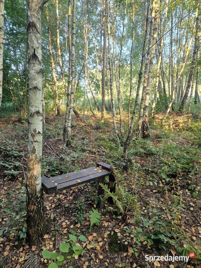 działka rolna Czułów Sprzedaż Sprzedaż małopolskie Liszki