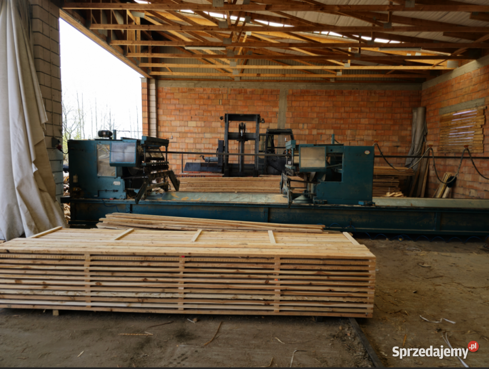 Piła formatowa do wiązarów dachowych WILSON z Leśnictwo mazowieckie Chorzele