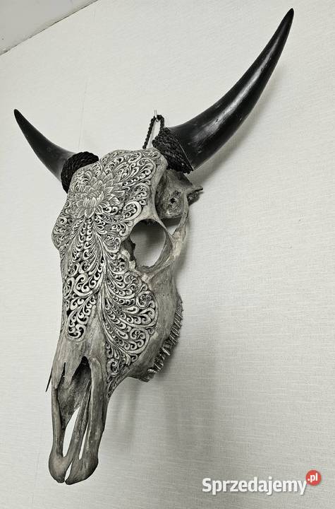 UNIKATRzeźbiona czaszka krowy rękodzieło lotos Wałbrzych