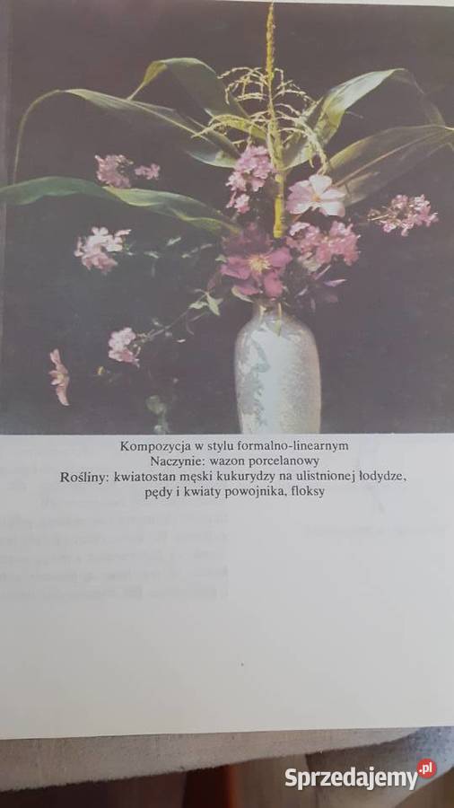 Układanki roślinne twarda Szczecin sprzedam