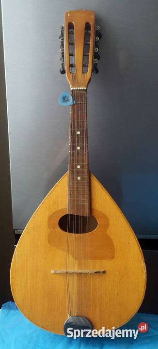 Mandolina warmińsko-mazurskie Ełk