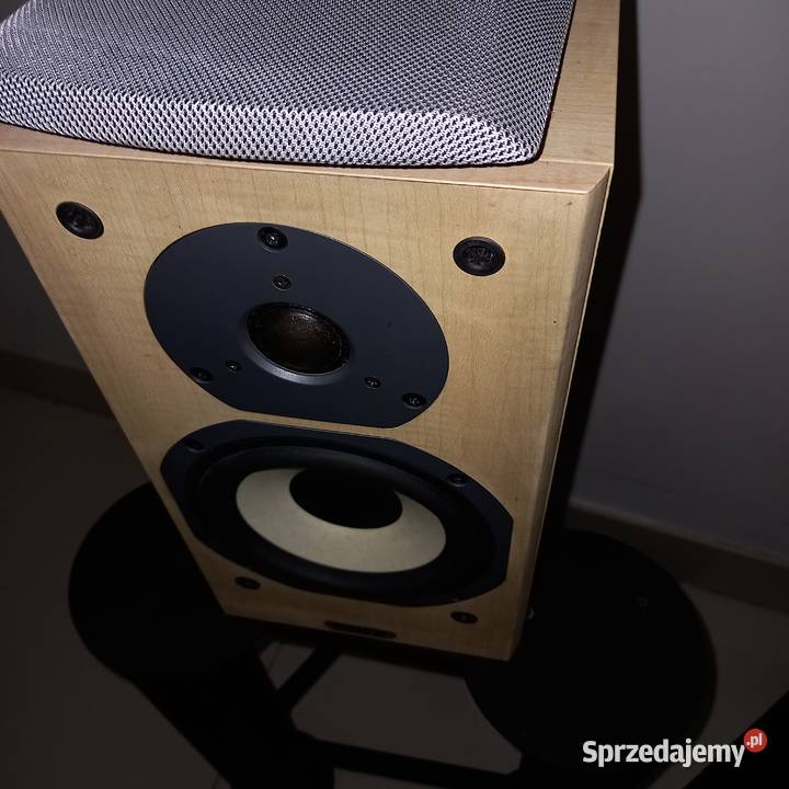 TANNOY MERCURY MX1 porcelana lubelskie Zemborzyce Podleśne