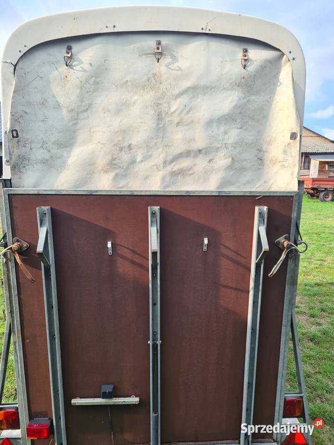 Bryczka konna lubelskie Firlej