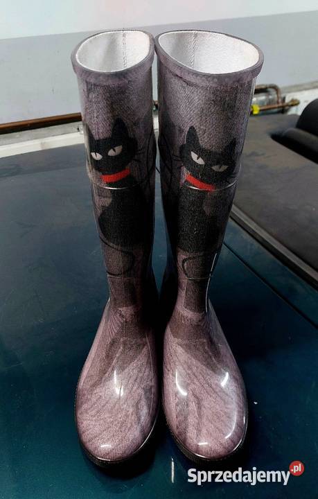 Kalosze Denmar z Kotem 39 Tarnowo Podgórne sprzedam