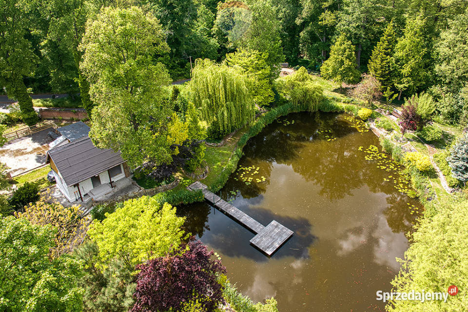 Brzeźnica Slow Life natura historia możliwości garaż lubuskie