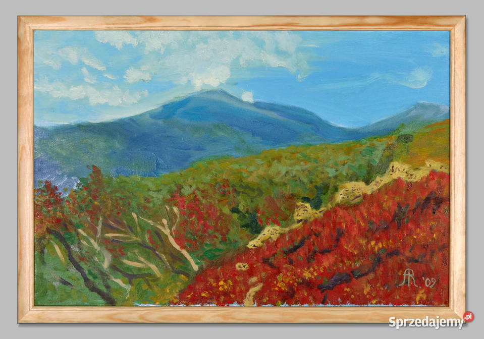 Pejzaż ze wzgórzem Bieszczady połonina łódzkie Łódź sprzedam