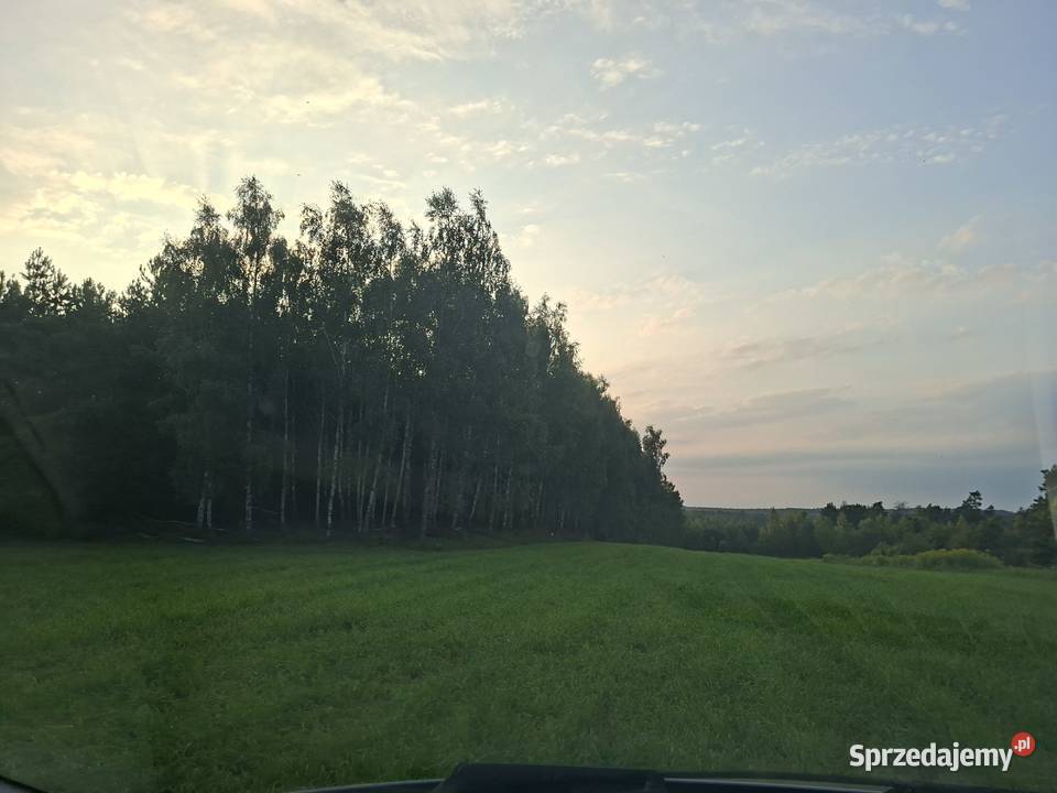 Sprzedam działkę z lasem o powierzchni 176h kujawsko-pomorskie Radziki Duże sprzedam