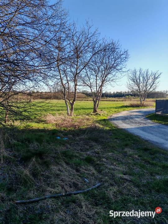 Działka 17 ar Leżajsk Wierzawice Grunty i działki
