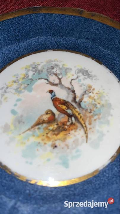 Talerzyk Staffordshire England Bażanty Porcelana i szkło Gdańsk