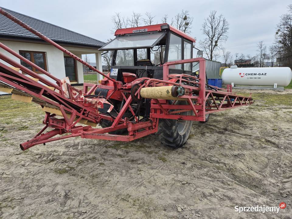 Podajnik Taśmociąg do Zbioru Warzyw mazowieckie sprzedam