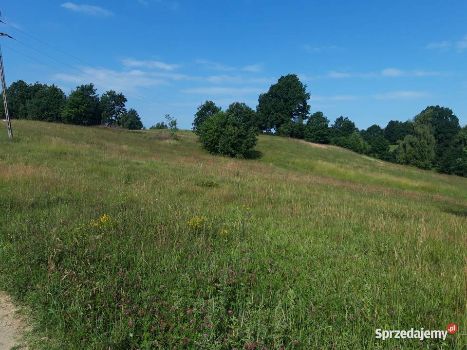 Działka budowlana z dostępem do jeziorka 18zł/m2 Czarnkowie sprzedam