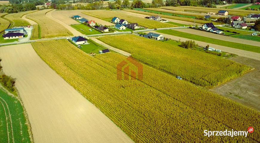 Grunt na sprzedaż 18750m2 Borek Wielki Wschodnia 18750m2