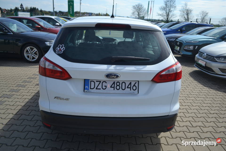 Ford Focus zarejestrowany 91 Zgorzelec