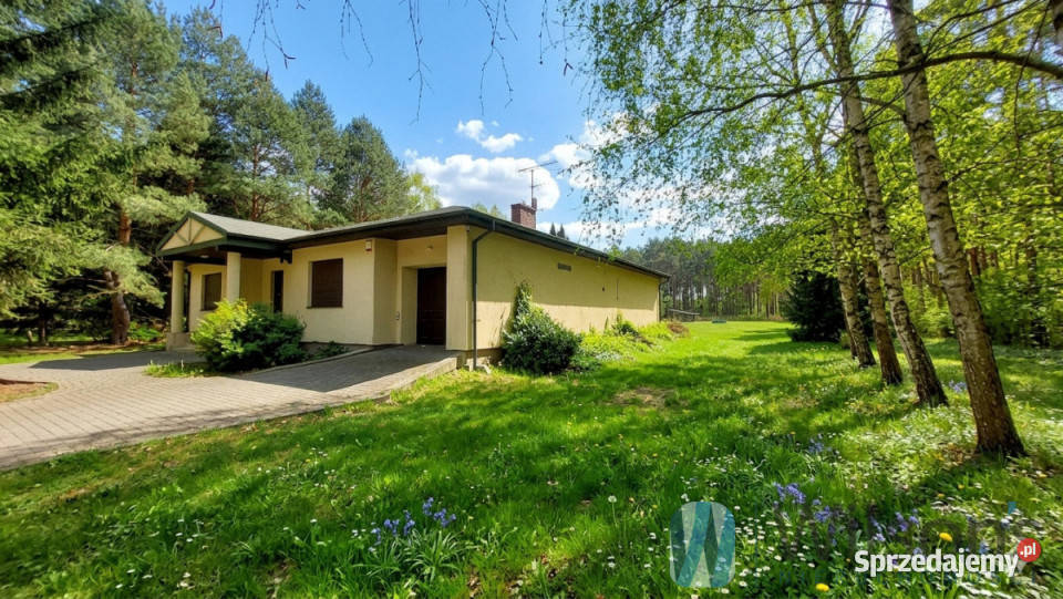 Sprzedaż działki Wiązowna 9130m2 38m mazowieckie