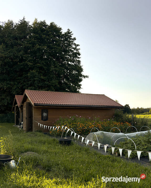 Marszewo 3029 m działka budowlana z lasem i polna
