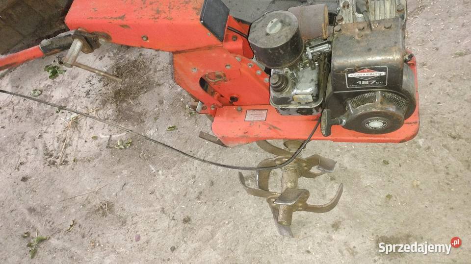 Glebogryzarka Briggs stratton 4 Karsznice
