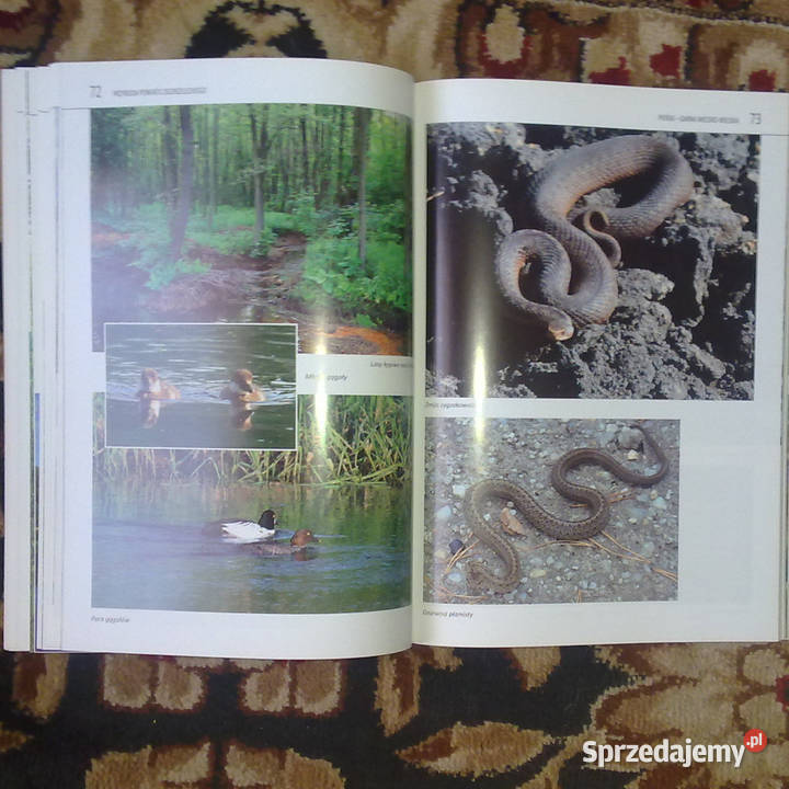 Książka Przyroda powiatu Zgorzeleckiego Warszawa