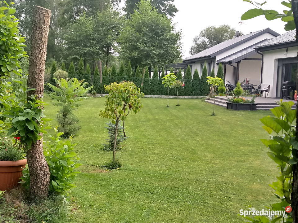 nowy bezkosztowy mały dom wolnostojący Brzozówka