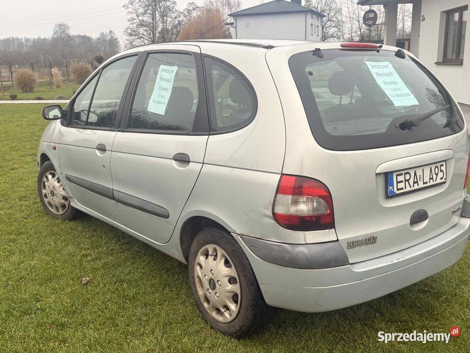 Renault Scenic łódzkie Wielgomłyny