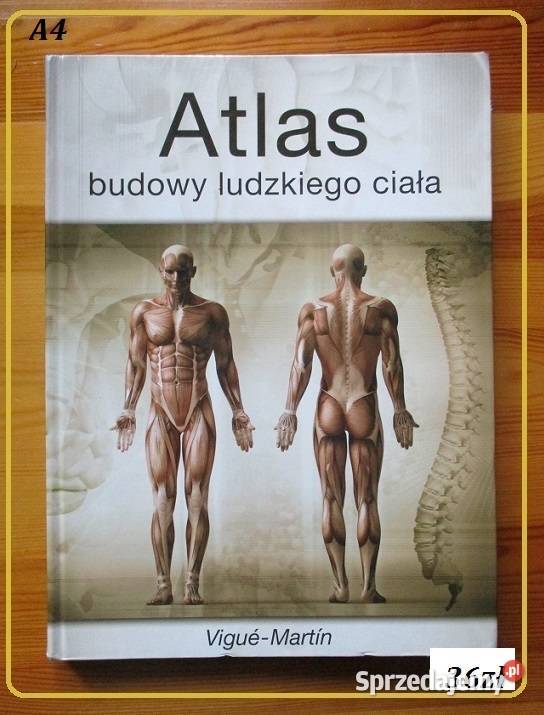 Poduszka SANITY Krąg przeciwodleżynowy piankowy Pozostałe Łódź