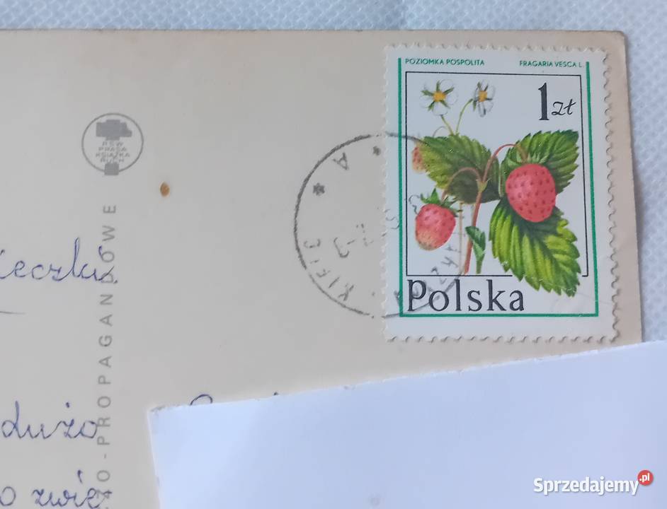 Pocztówka Góry Świętokrzyskie jaskinia Raj KAW Koźminek sprzedam