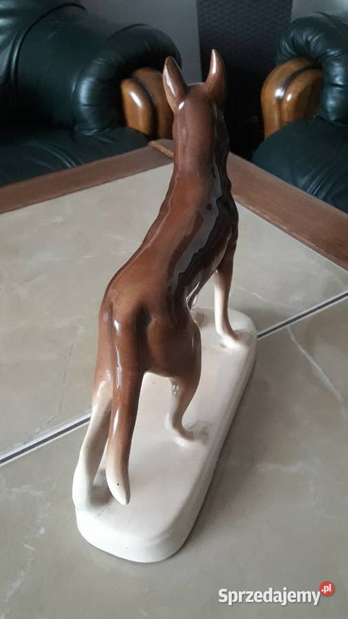 Pies Wilczór Chodzież lata 60 te PRL lubelskie Janów Lubelski