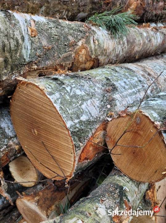 Drewno OpałoweSosna Olszyna BrzozaSucheTransport Lipno sprzedam
