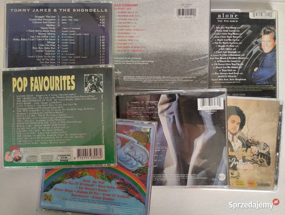 Płyty CD Kolekcja płyt CD Kultura i Rozrywka Warszawa