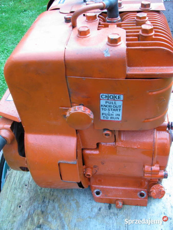 Silnik Briggs Stratton podkarpackie Kraczkowa