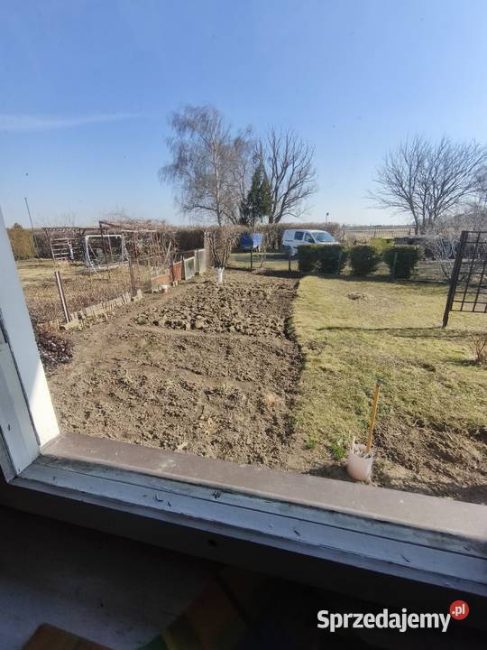 Działka ROD Magnolia 302m2 45k sprzedam