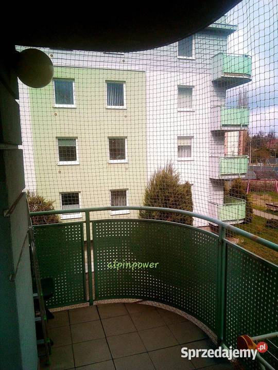 Siatka Ochronną Kota Na Balkon Montaż Siatek Usługi mazowieckie usługi dla zwierząt