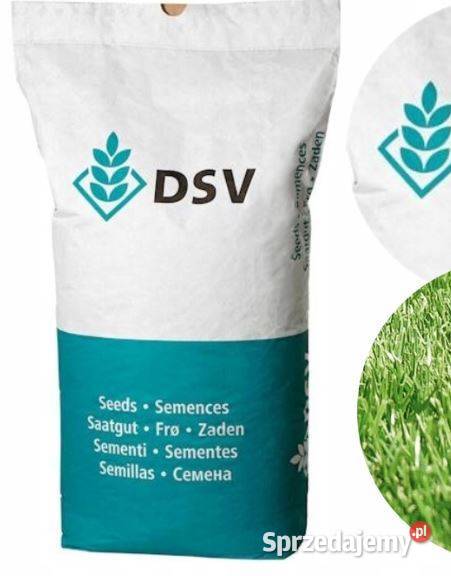 DSV Country 2060 PowerMix mix 3 odmian lucern Gniezno