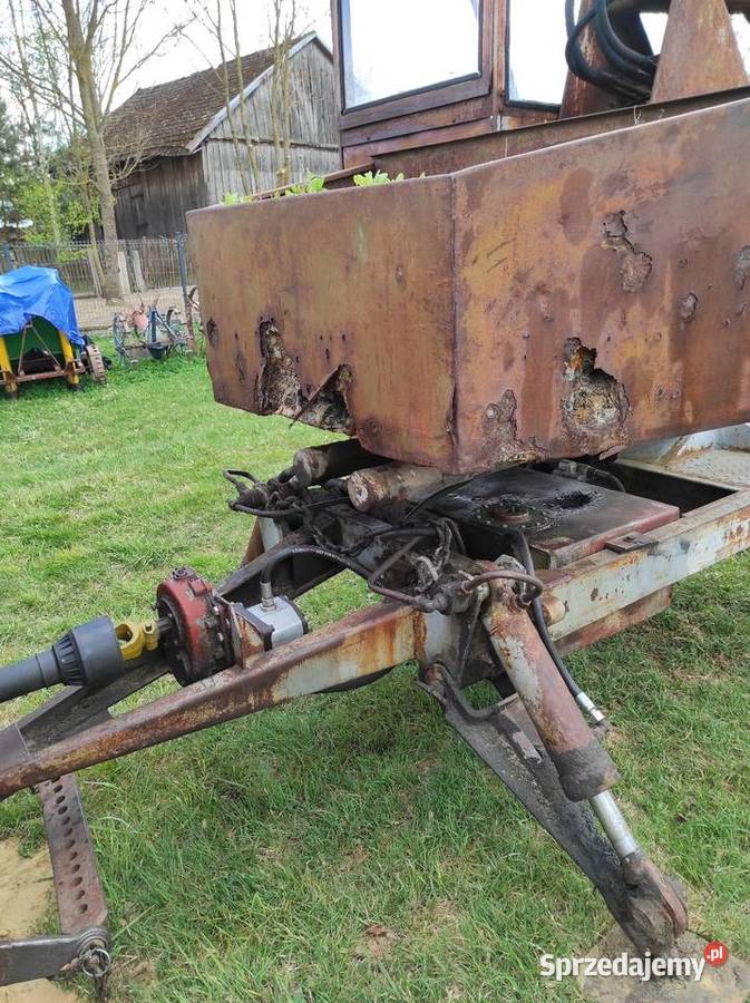 Cyklop Polski nieuszkodzony Wielkie Oczy