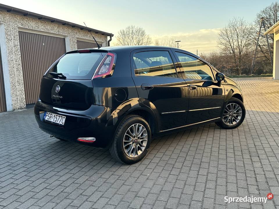 Fiat Punto Evo Klima Niski przebieg Rok produkcji 2011 Punto wielkopolskie Konin