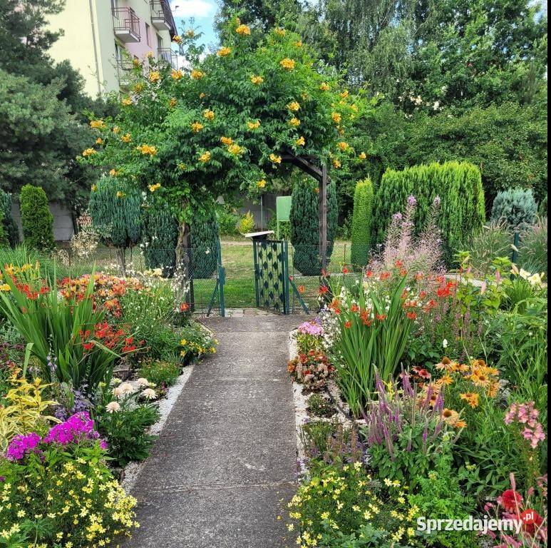 Działka rekreacyjna Wrocław