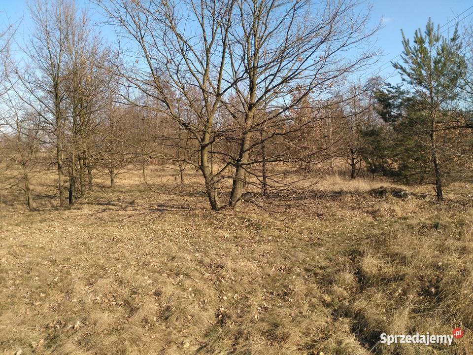 Działka Żyrardów Akacjowa 10 sprzedam