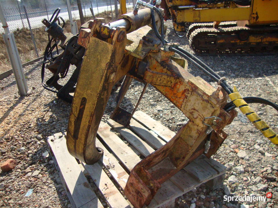 kleszcze zrywkowe Czaplinek