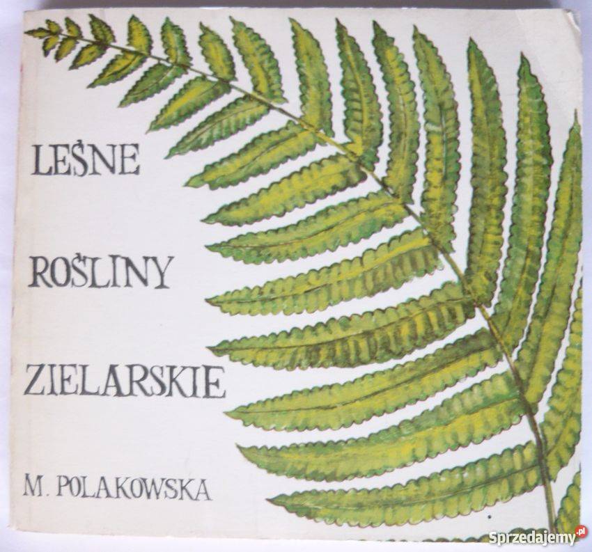 LEŚNE ROŚLINY ZIELARSKIE M POLAKOWSKA Koszalin sprzedam