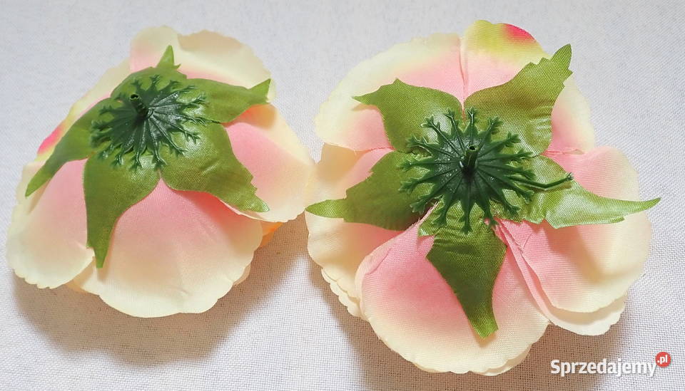 Róże rozwinięte chińskie okazałe 11 Kolory L049 Siewierz sprzedam