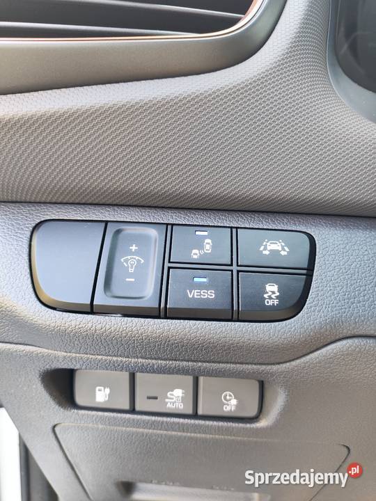 Hyundai IONIQ 28 kWh platinium 77777km IONIQ