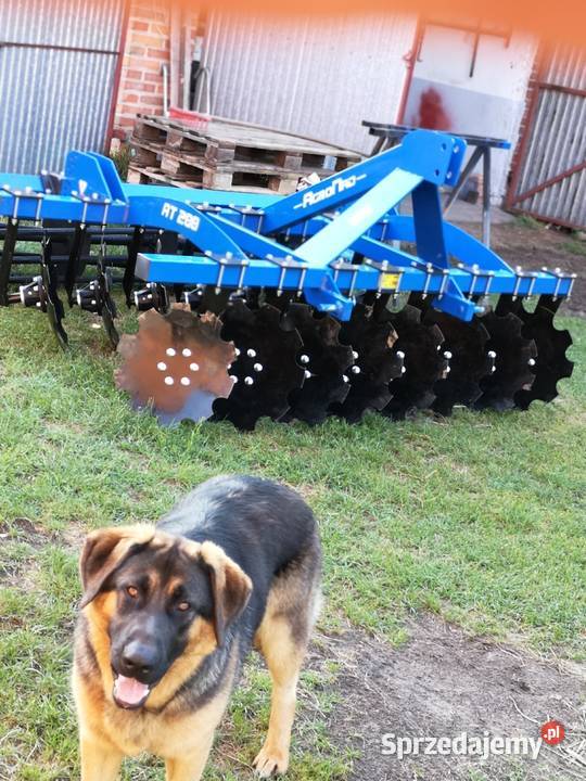 Talerzówka agregat talerzowy 2m Godziesze Wielkie