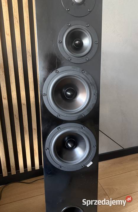 Kolumny Amstaff Mini firmy Harpia Acoustics Siemianowice Śląskie